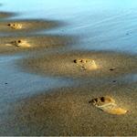 Foot Prints On Sand.jpg